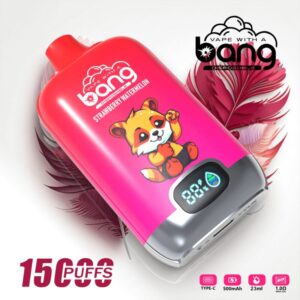 Bang Digital Box 15000 Puffs