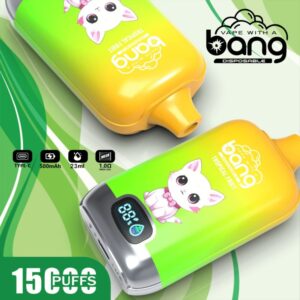 Bang 15000 Puffs