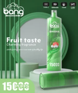 Bang SHISHA 15000 Puffs