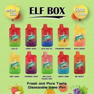 ELF BOX 5000 Puffs
